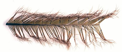 Veniard Cock Pheasant Knotted Tail - Other Feathers and Plumes - 40450300039 - 1
