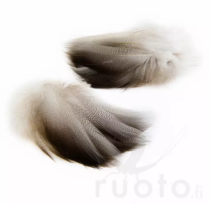 Wapsi Bronze Spey Mallard - Classic Feathers - 053526048049 - 1