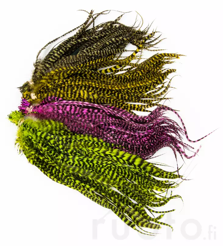 Whiting Schlappen Bundle 10-14" - Other Feathers and Plumes - 404503000009 - 1