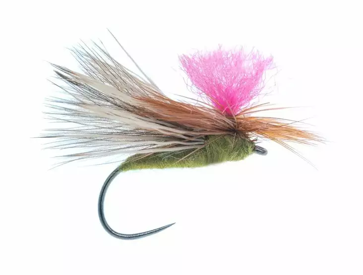 CDC Caddis Barbless Olive - Dry Flies - G1113BL-10O - 1