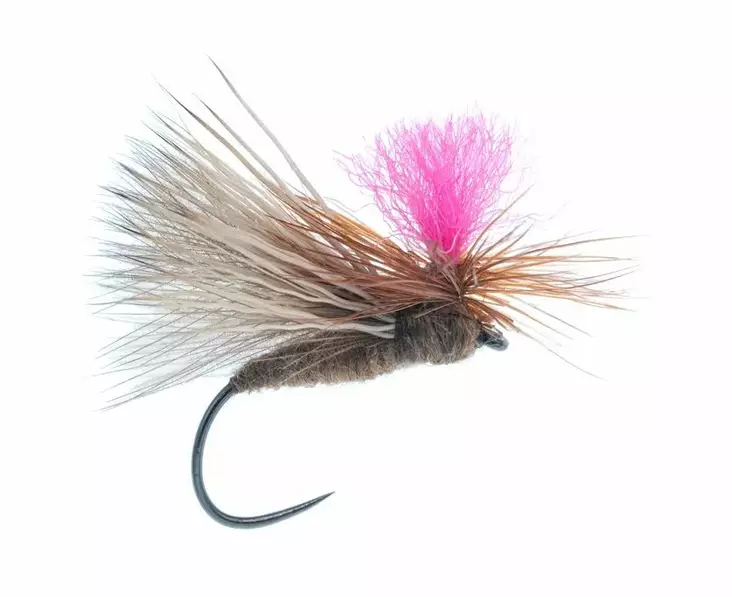 CDC Caddis Barbless Brown - Dry Flies - G1113BL-10BR - 1
