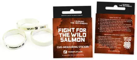 Frödin Flies Measuring Sticker - Other Tools and Accessories - CRMS - 2